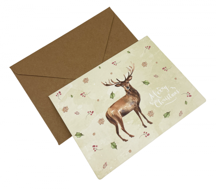 Felicitare Craciun Pastel Xmas 8.5x11.5cm, Set 6 bucati [6]