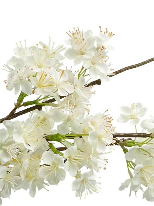 Flori artificiale CHERRYL, Alb, 100cm [2]