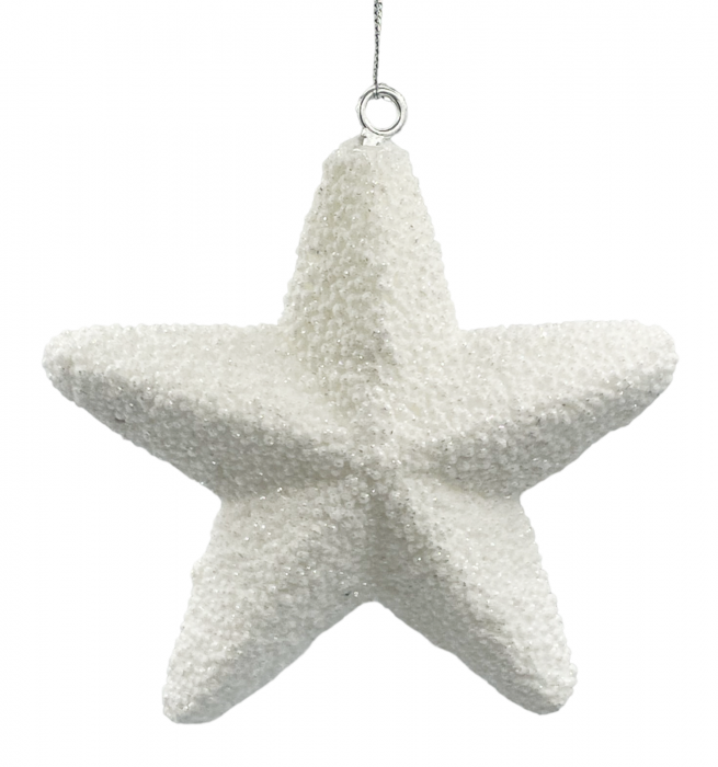 Glob de Craciun Stea JOY, Alb, 14cm [1]
