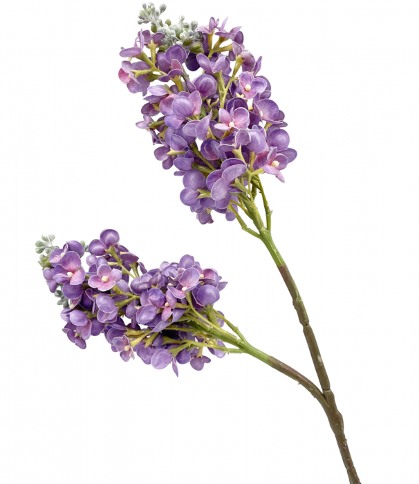 Liliac artificial CHARM, Mov, 60cm [4]