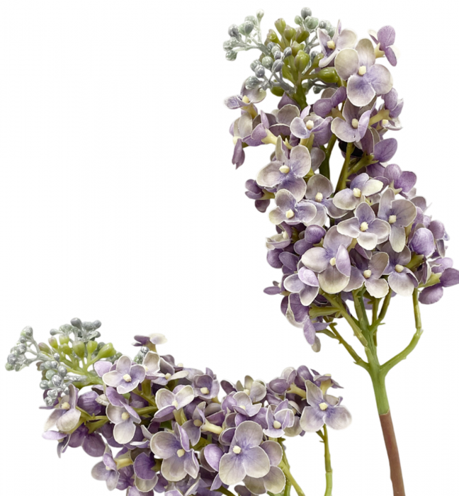 Liliac artificial CHARM, Lila, 60cm [3]