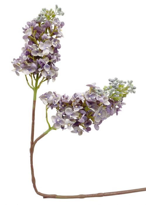 Liliac artificial CHARM, Lila, 60cm [2]