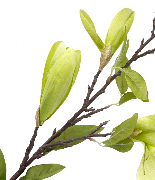 Magnolie artificiala MAJESTIC, Verde, 100cm [3]