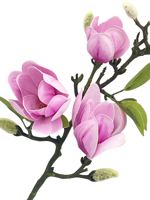 Magnolie artificiala QUEEN, Roz, 60cm [2]
