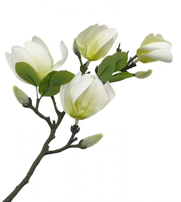 Magnolie artificiala QUEEN, Alb, 60cm [3]