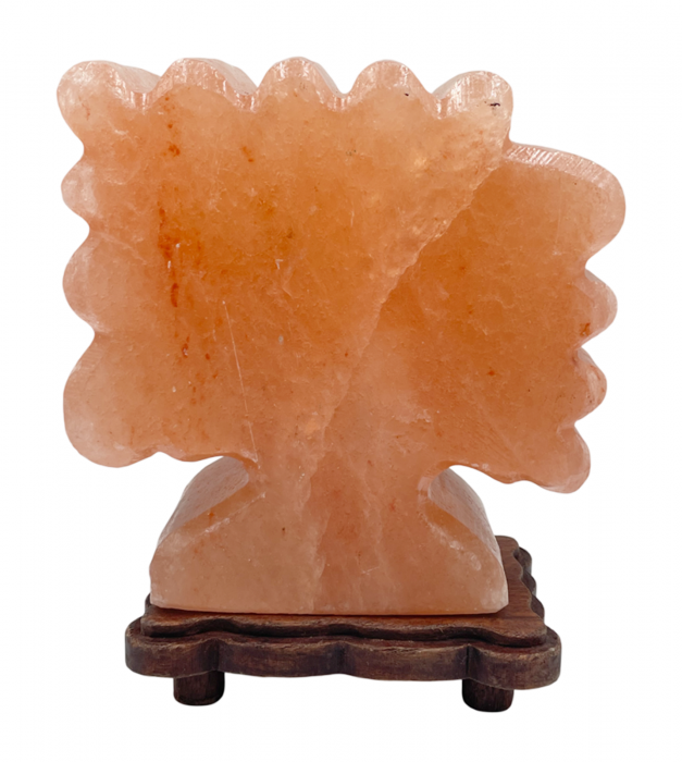 Lampa cu sare Himalaya TREE OF LIFE, 14x22cm [3]