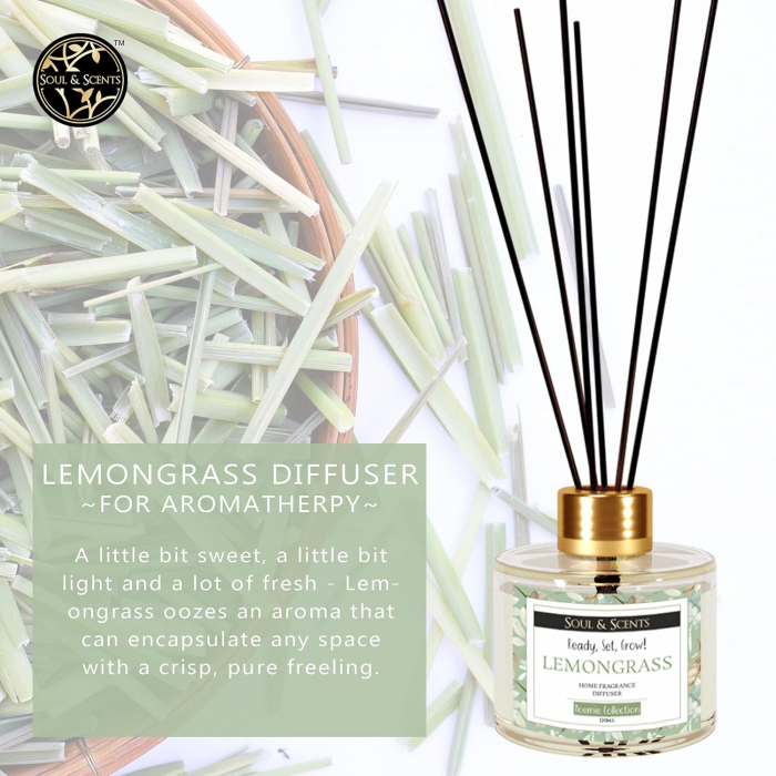 Odorizant camera cu betisoare LEMONGRASS [3]