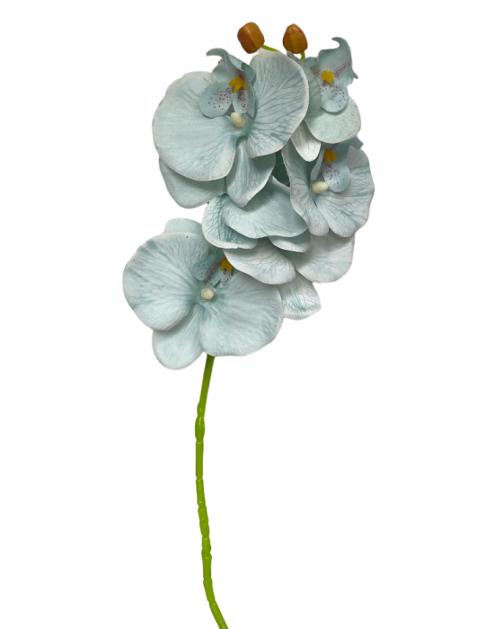 Orhidee artificiala GLORIA, Bleu, 60cm [2]