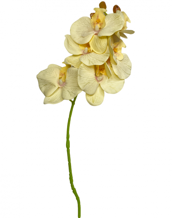 Orhidee artificiala GLORIA, Galben, 60cm [2]