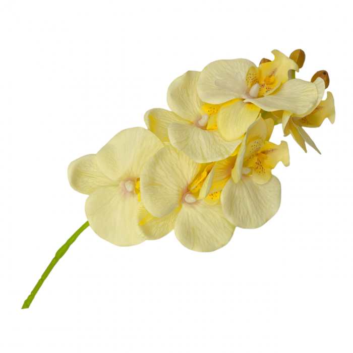 Orhidee artificiala GLORIA, Galben, 60cm [3]