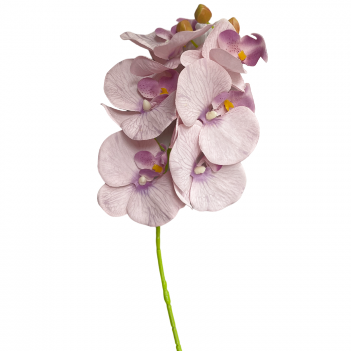 Orhidee artificiala GLORIA, Roz/ Mov, 70cm [1]