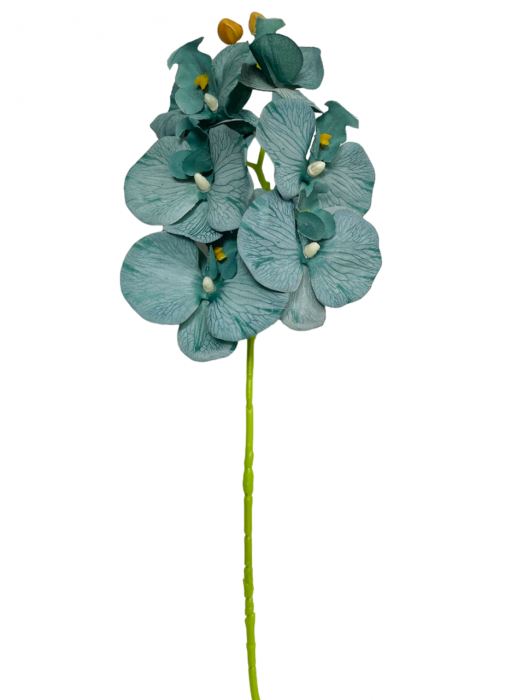 Orhidee artificiala GLORIA, Turcoaz, 60cm [2]