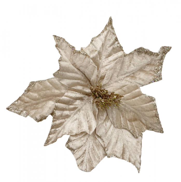 Ornament brad Craciunita CHRISSY, Sampanie, 18cm [1]