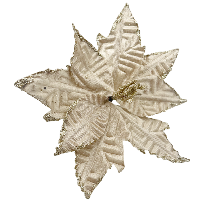 Ornament brad Magnolie AGNOLA, Sampanie, 17cm [1]