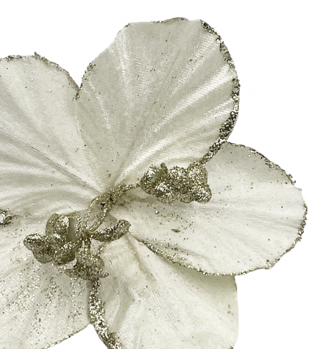 Ornament brad Magnolie HOPE, Crem, 15cm [2]