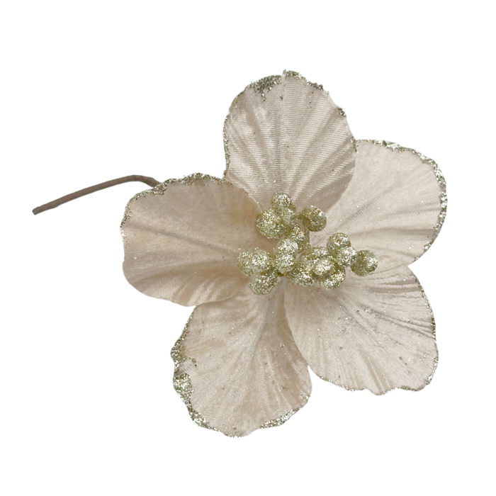 Ornament brad Magnolie HOPE, Sampanie, 15cm [2]