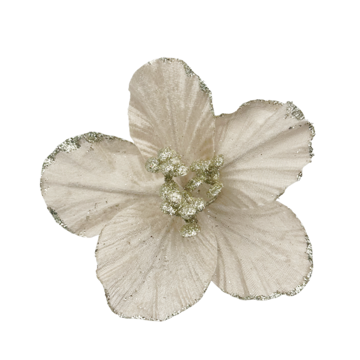 Ornament brad Magnolie HOPE, Sampanie, 15cm [3]