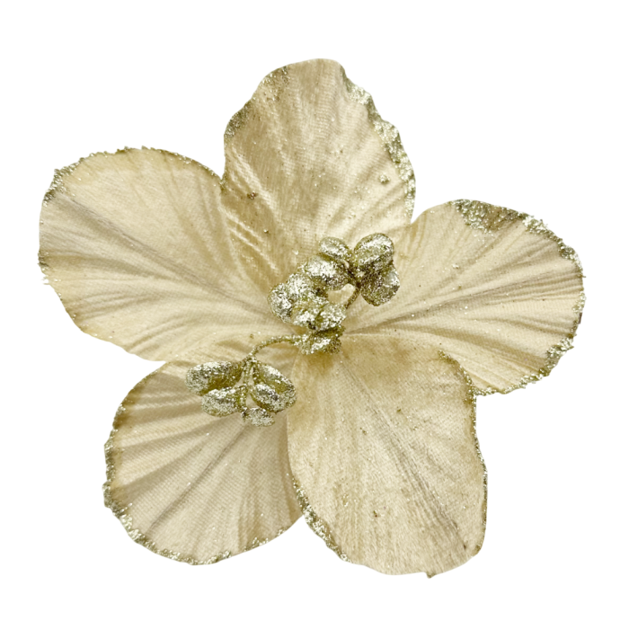 Ornament brad Magnolie HOPE, Nude auriu, 15cm [1]