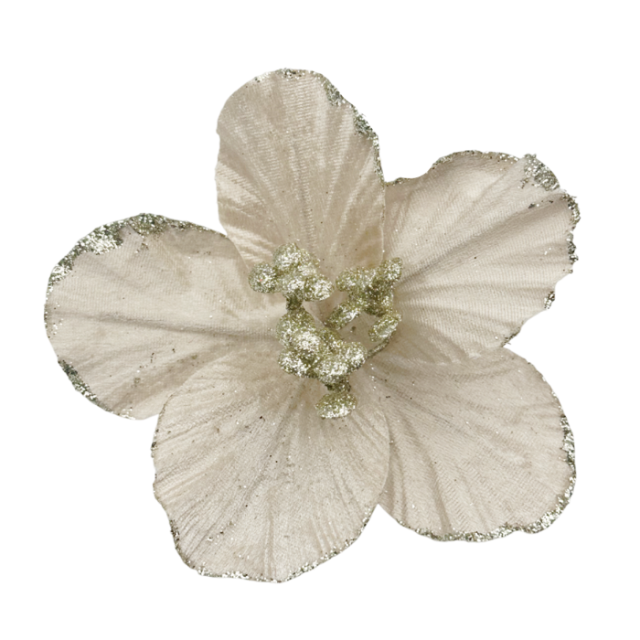 Ornament brad Magnolie HOPE, Sampanie, 15cm [1]