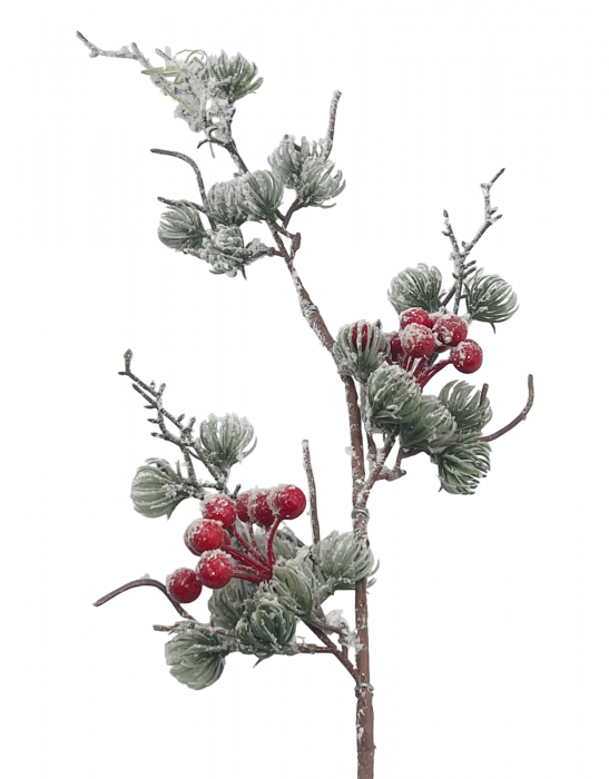 Ornament Craciun cu zada si bobite rosii BRIGHT, 70cm [1]