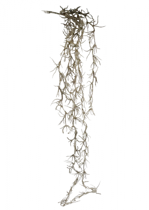Ghirlanda decorativa BRIGHT, Auriu, 55cm [2]