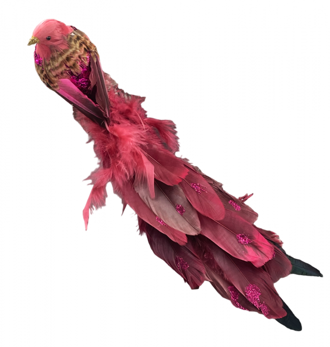 Ornament brad Craciun Pasare LIZZY, Fuchsia , 40cm [1]
