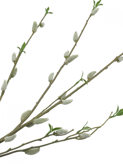 Ramura decorativa cu Mugurasi SPRING, 100cm [3]