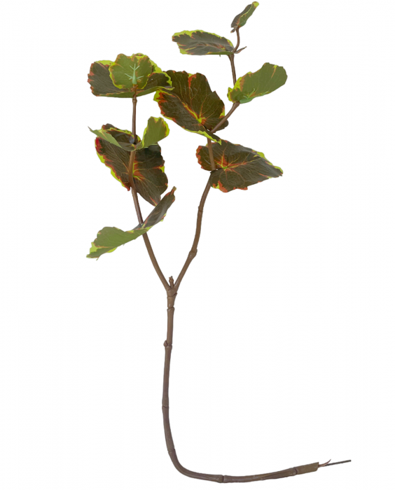 Creanga cu frunze artificiale SHAWN, 70cm [3]