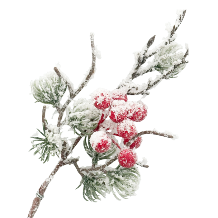 Ramură decorativă cu bobițe roșii  si ace verzi ninse BRIGHT, 70cm [3]
