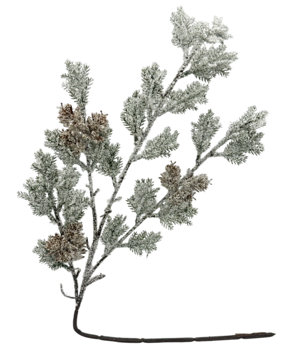 Ramură decorativă cu conuri și efect de zăpadă FREEZY, 60cm [1]