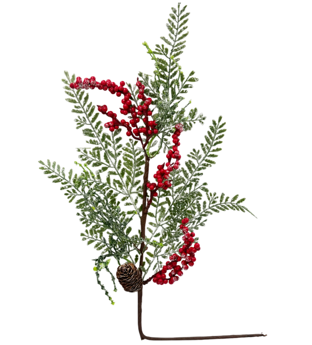 Crenguță decorativă cu boabe roșii și con [1]