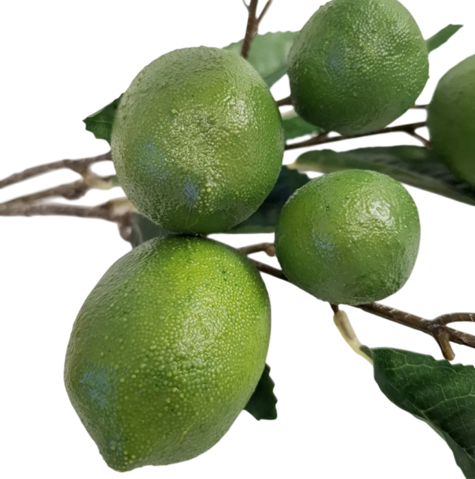 Creanga decorativa cu frunze si lime LIMETTE [2]