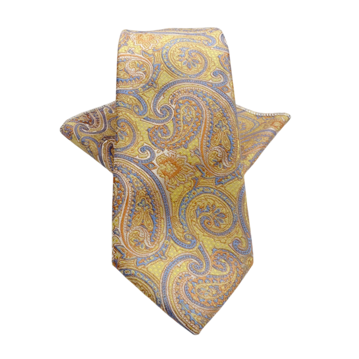 Set cravata slim cu batista Paisley CHARLIE, Galben Bleu [1]