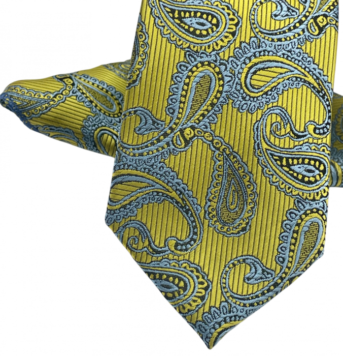 Set cravata slim cu batista Paisley FRANCIS, Galben auriu [4]