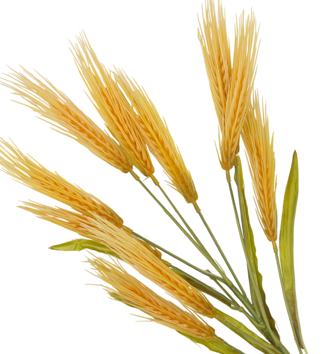 Spice decorative artificiale MARISOL, Portocaliu, 45cm [2]