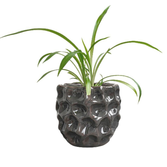 Ghiveci ceramic gri antracit - design modern și elegant [3]