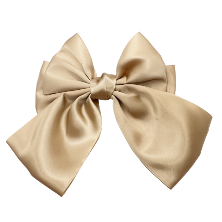 MODA & ACCESORII - Clama de par JULIETTE - Funda eleganta din satin, Bej sampanie