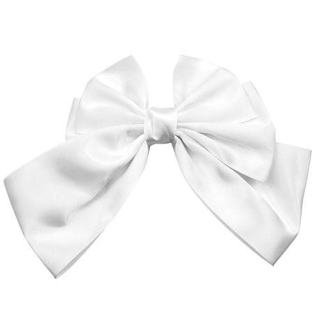 MODA & ACCESORII - Clama de par JULIETTE - Funda eleganta alba din satin
