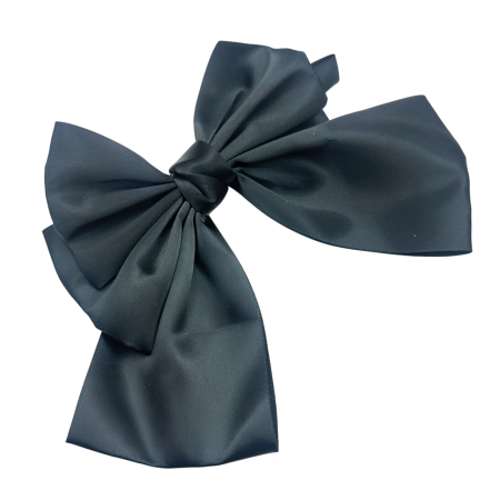 MODA & ACCESORII - Clama de par JULIETTE - Funda eleganta neagra din satin