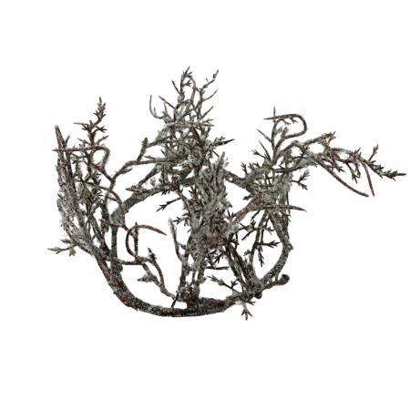 Coronita decor lumanare Craciun FROSTY, 10cm [2]