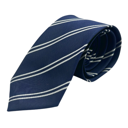 ACCESORII VESTIMENTARE BARBATI - Cravata slim cu dungi fine TODD, Albastru navy