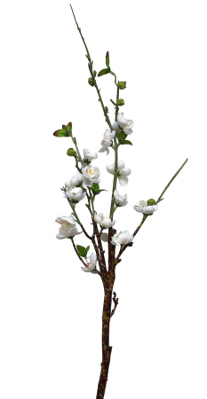 Crenguta cu flori artificiale BELLA, Alb, 50cm [1]