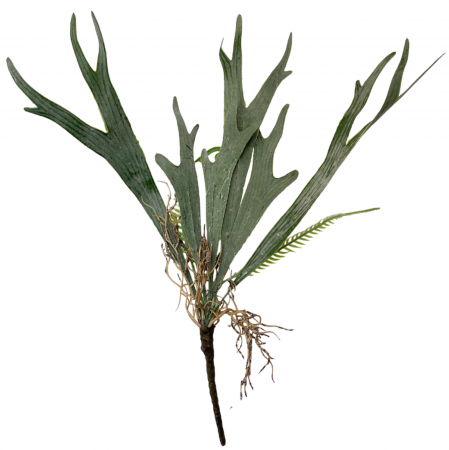 Flori Artificiale - Iarba artificiala EXOTIC, 40cm