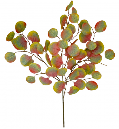 Creanga cu frunze artificiale EUCALIPT, Verde roscat, 63cm [2]