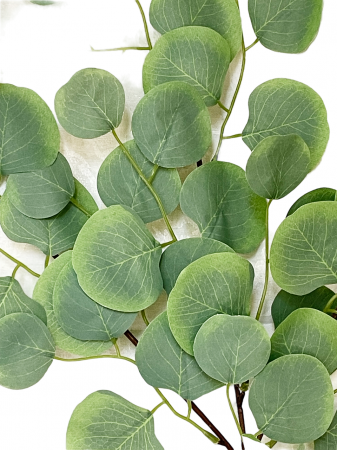 Creanga cu frunze artificiale EUCALIPT, Verde, 63cm [1]