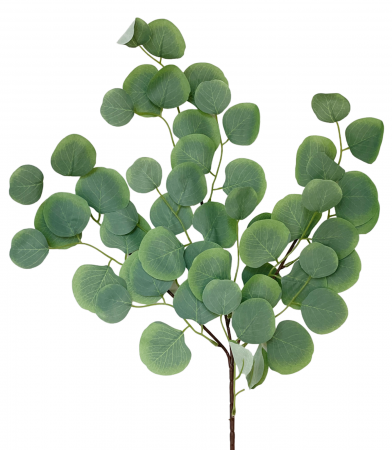 Flori Artificiale - Creanga cu frunze artificiale EUCALIPT, Verde, 63cm
