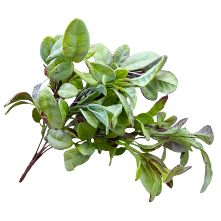 Planta artificiala CHANIA, Verde brumat, 30cm [2]