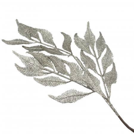 Colectia Sampanie & Crem & Ivoire - Creanga decor Craciun cu frunze feriga BEAUTY, 60cm