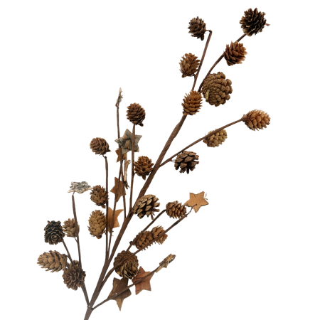 Ramura decorativa cu conuri si stelute lemn COUNTRY, 90cm [2]
