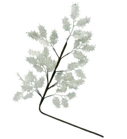 Ramura decorativa cu frunze ilex FREEZY, Alb [1]